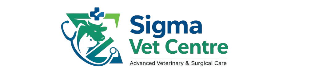 chatgpt image mar 10, 2026, 12 59 51 am copy